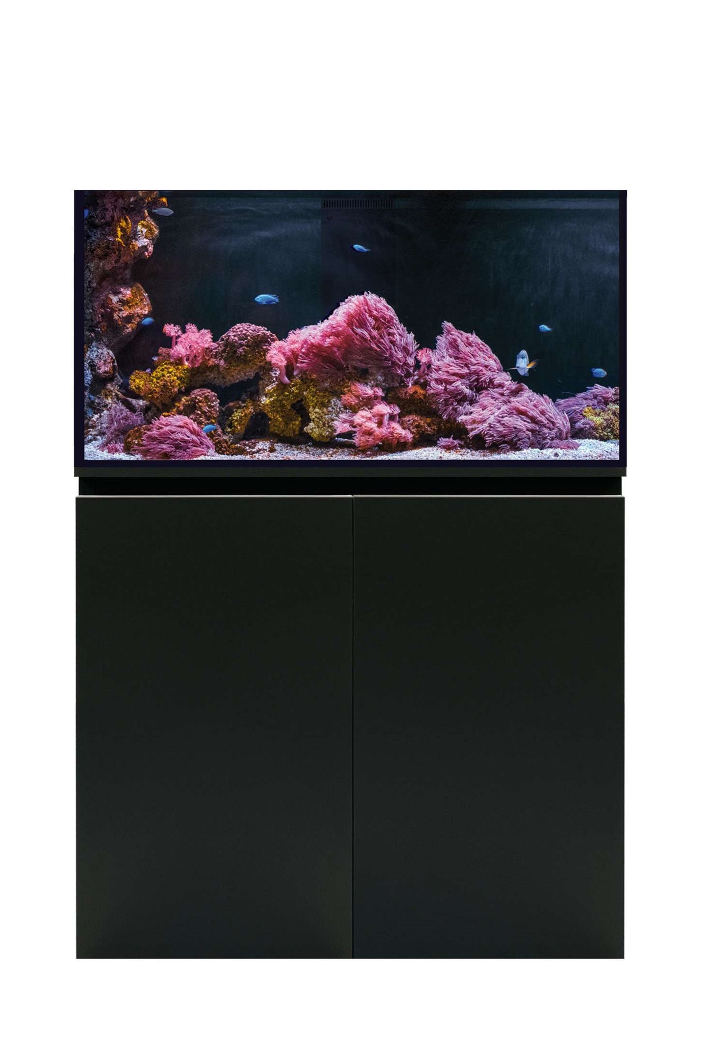 Meeresaquarium mit AquaOcean PRO Sumpf von 267 Litern – ohne Beleuchtung