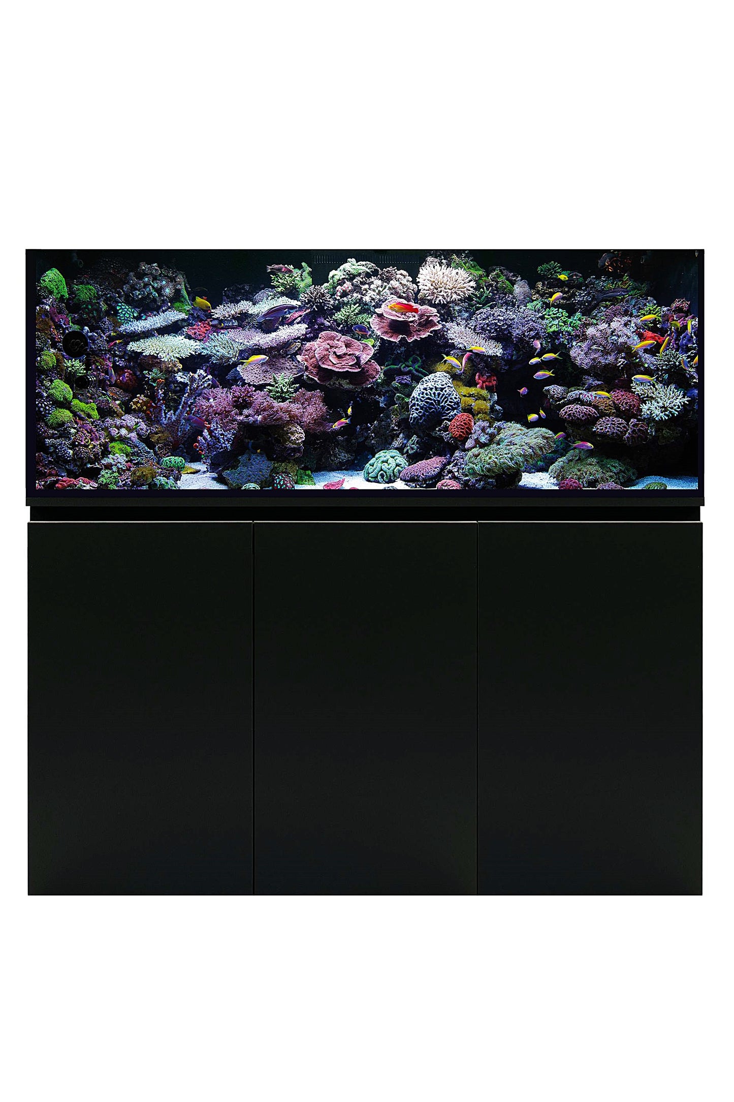 Meeresaquarium mit AquaOcean PRO Sumpf von 414 Litern – ohne Beleuchtung