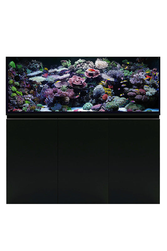 Meeresaquarium mit AquaOcean PRO Sumpf von 414 Litern – ohne Beleuchtung