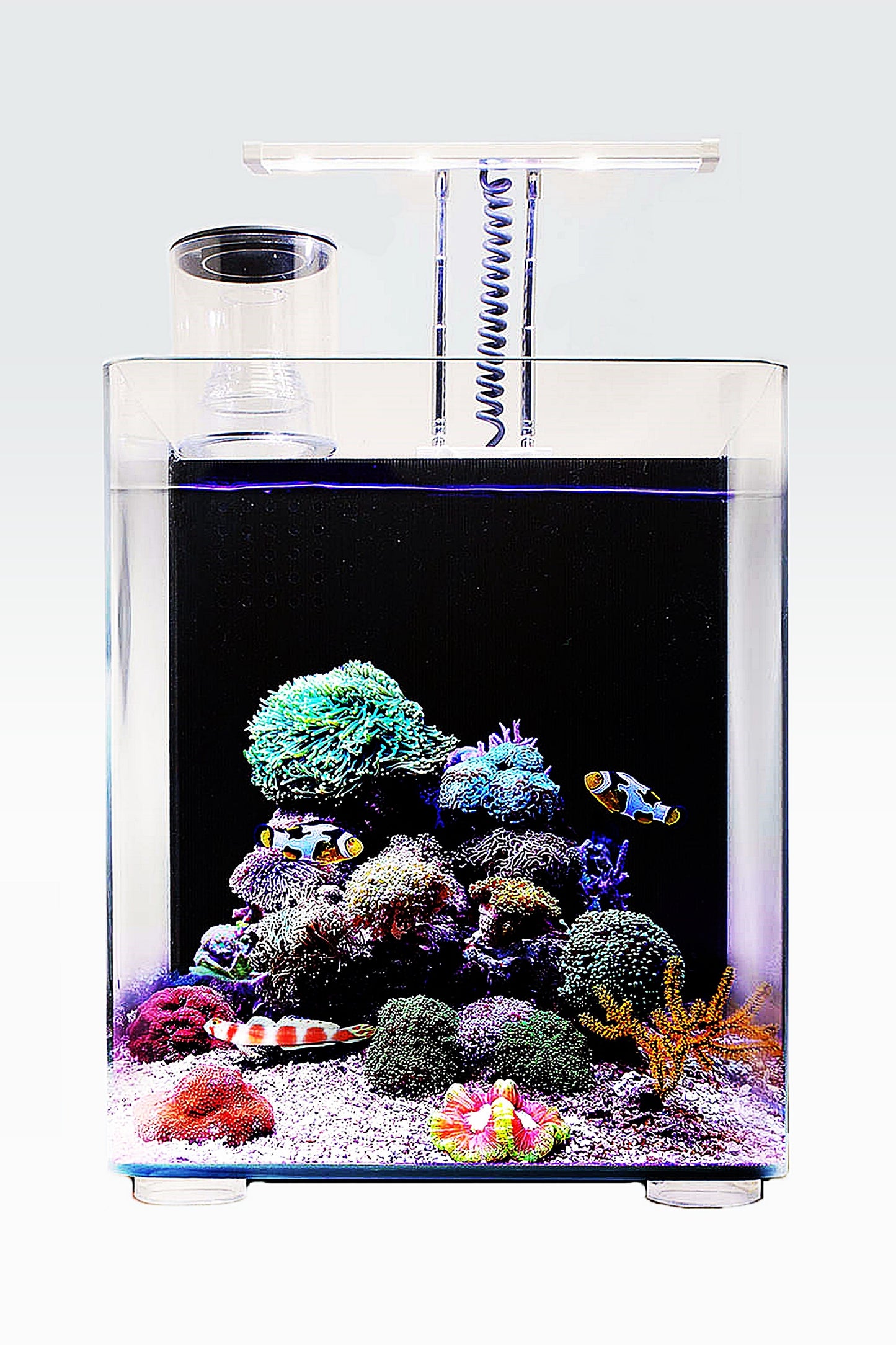 OceanFree Nano Meeresaquarium (16 Liter)