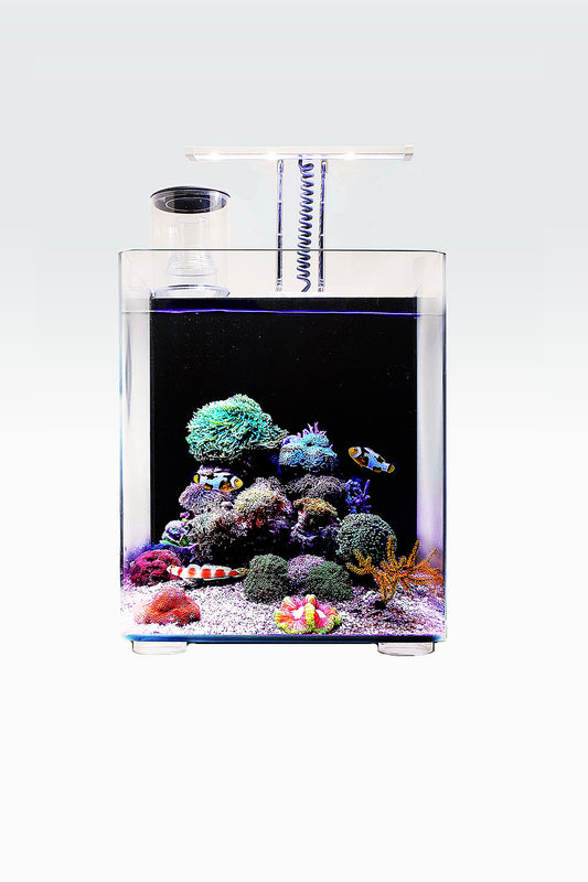 OceanFree Nano Meeresaquarium (24 Liter)