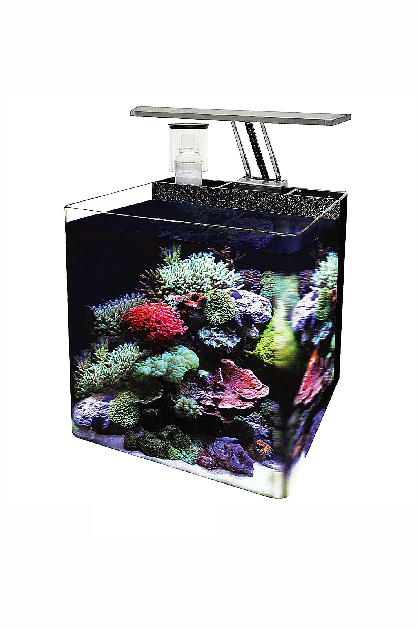 OceanFree Nano Meeresaquarium (24 Liter)