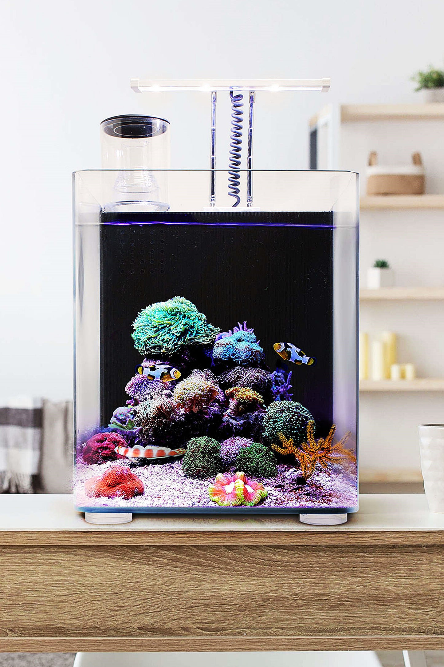 OceanFree Nano Meeresaquarium (24 Liter)