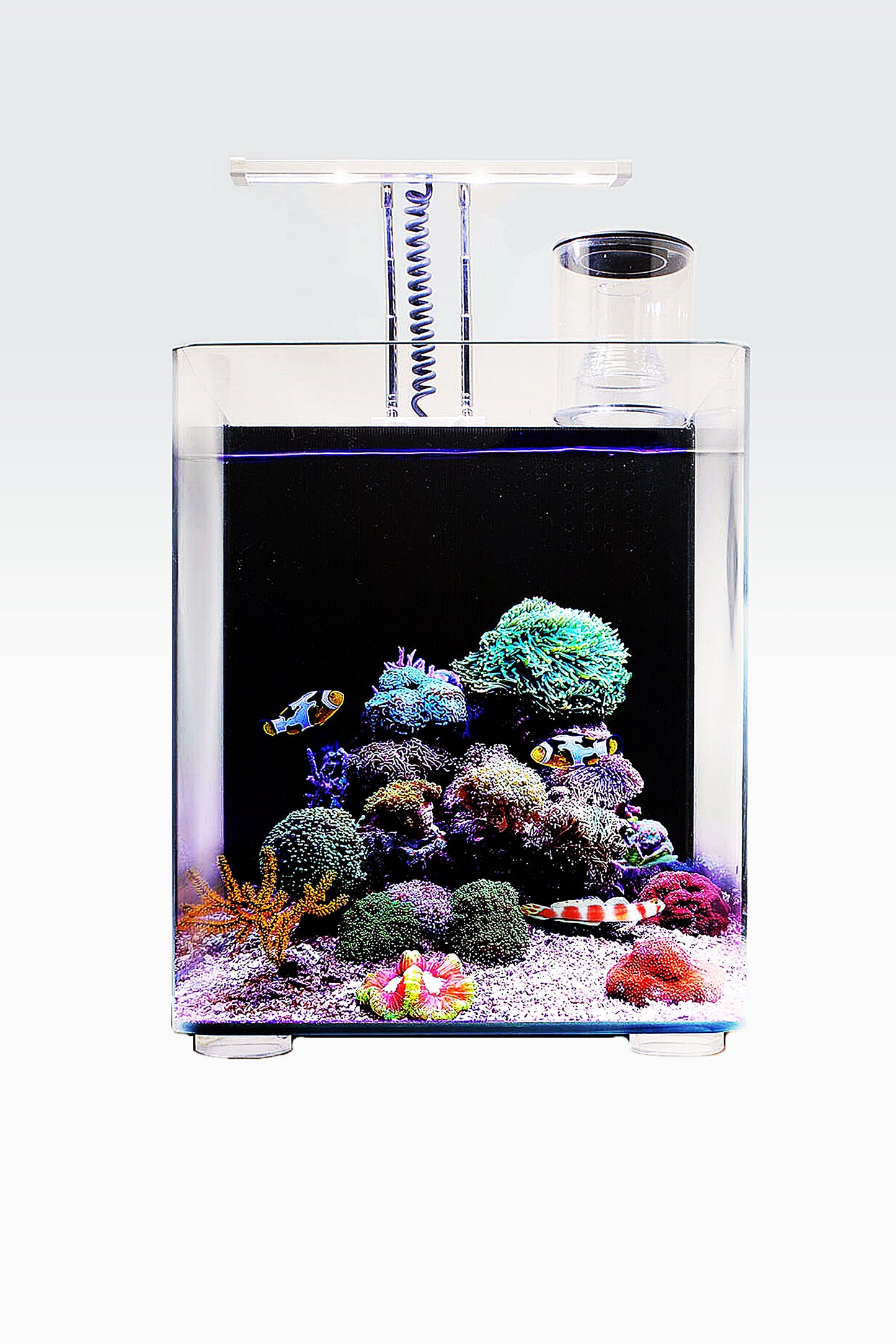 OceanFree Nano Meeresaquarium (34 Liter)