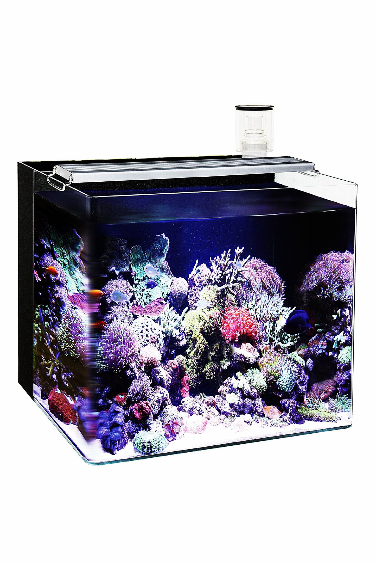 Meeresaquarium - Nano OceanFree 96 Liter