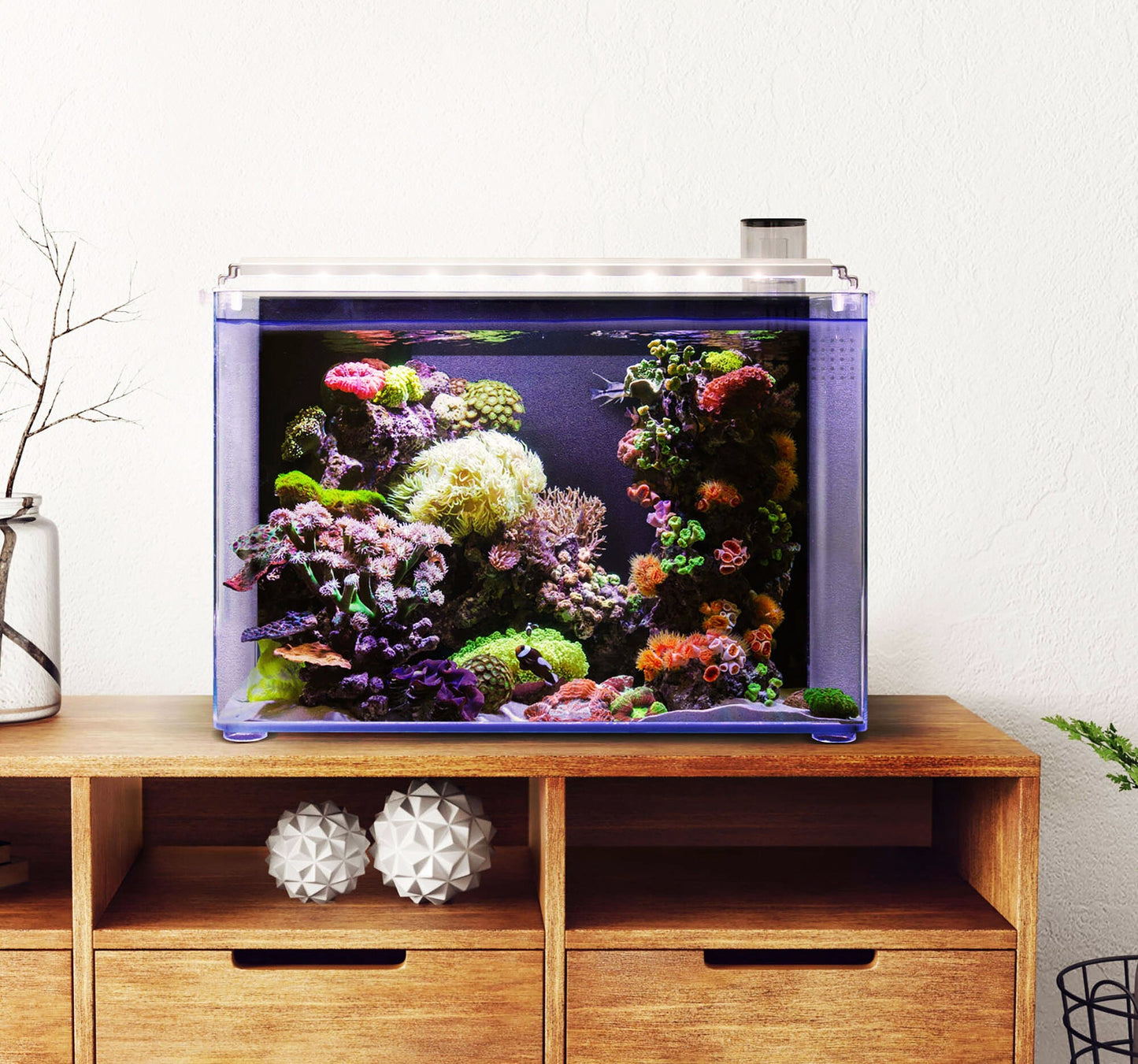 Meeresaquarium - Nano OceanFree 96 Liter