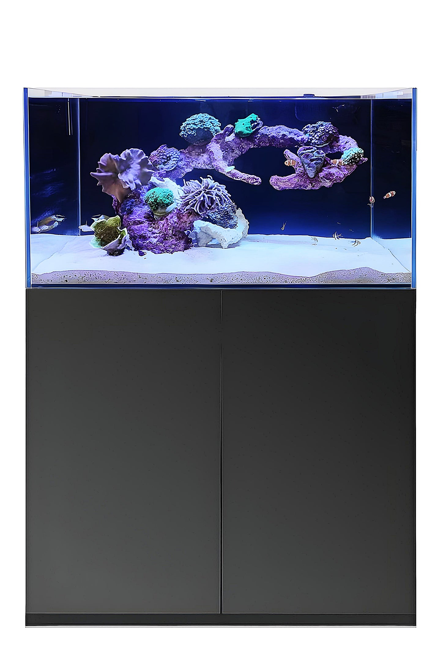 Großes kubisches SUPER REEF 92 Aquarium mit 276 Litern in Schwarz