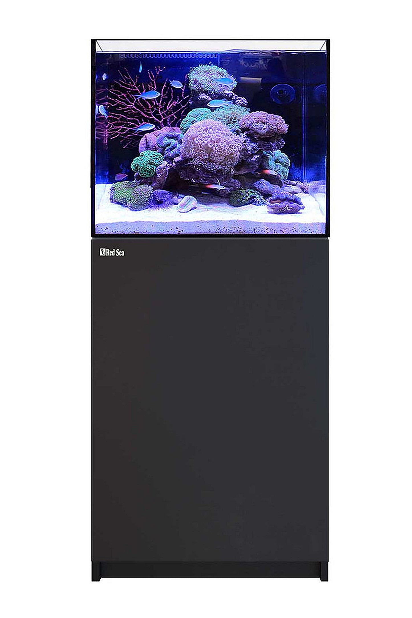 REEFER™ G2+ 170 Aquarium in Schwarz 128 Liter