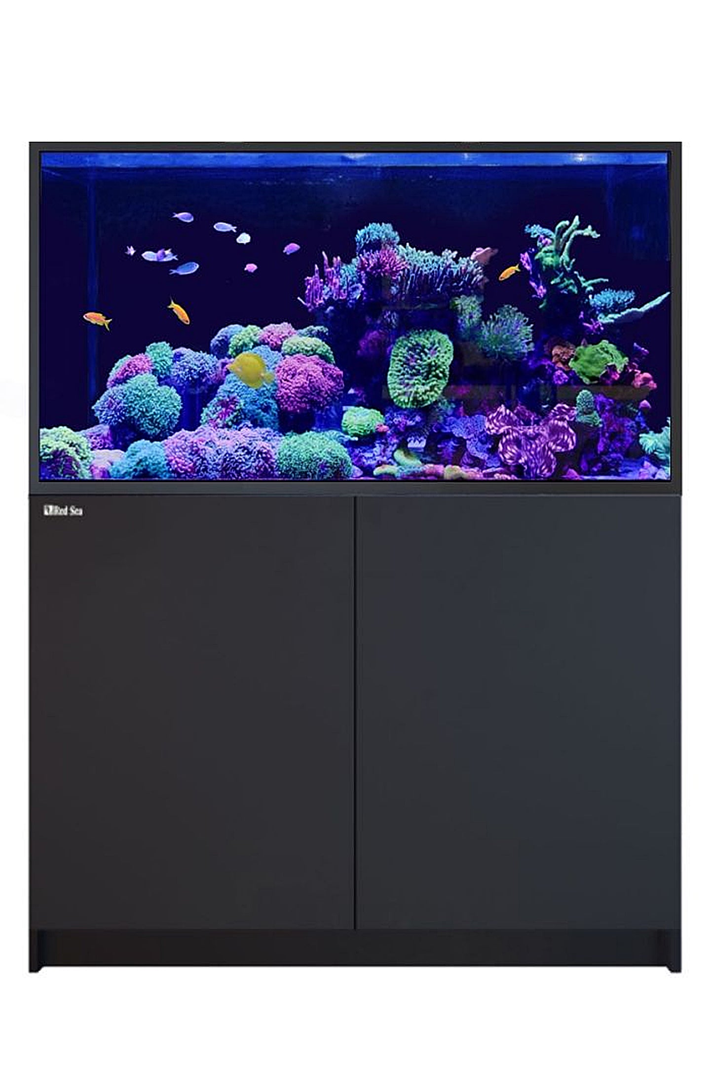 Acuario REEFER™ G2+ S - 550 en Negro 448 litros