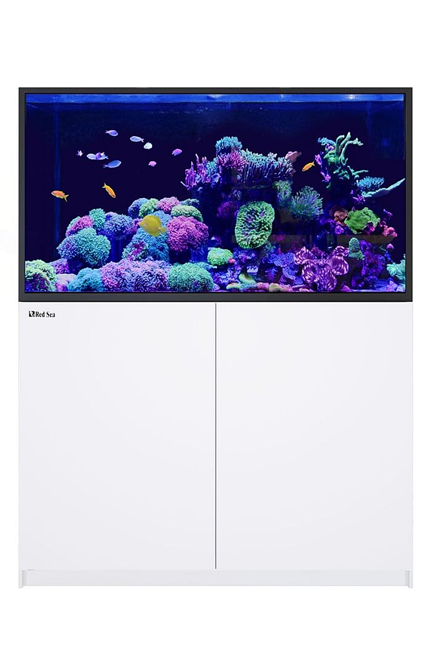 REEFER™ G2+ S Aquarium – 550 in Weiß, 448 Liter