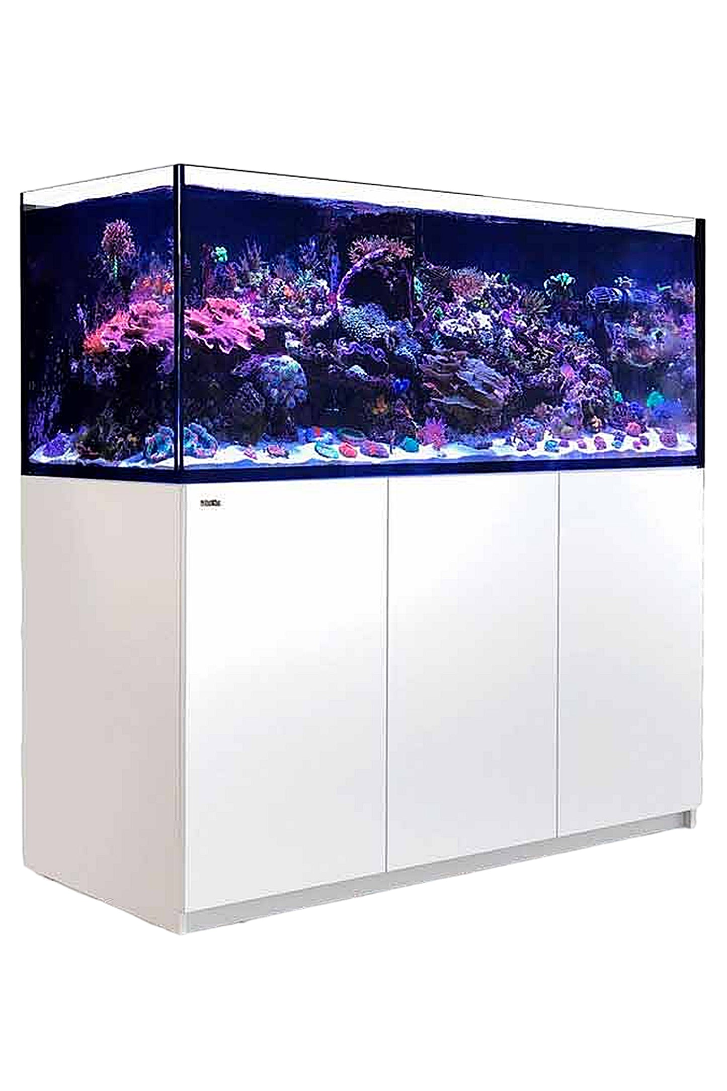 REEFER™ XL 625 Aquarium in Weiß 497 Liter