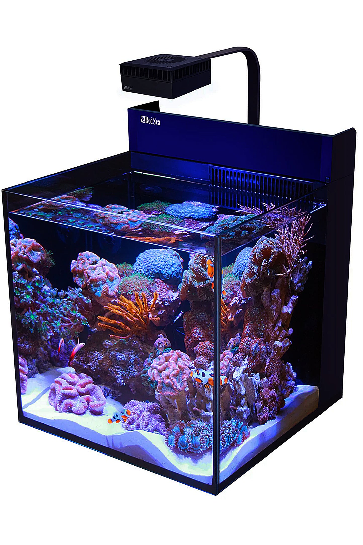 Acuario MAX NANO Península (con ReefLED sin mesa) de 75 litros