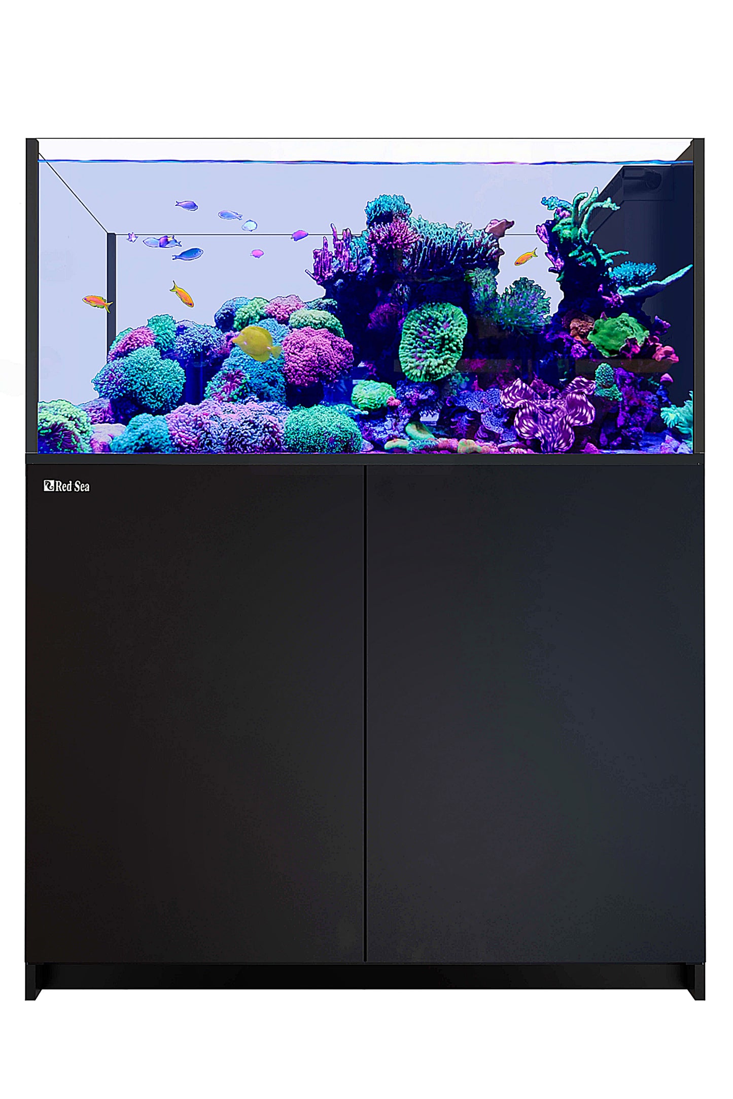 REEFER™ Peninsula G2 + 500 Aquarium in Schwarz 412 Liter