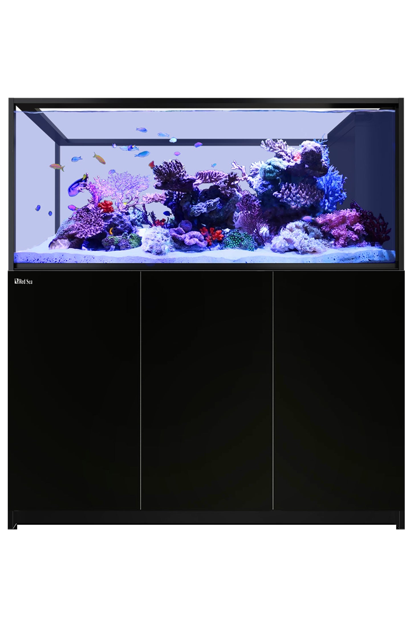 Acuario REEFER™ Península G2 + S700 en Negro 568 litros