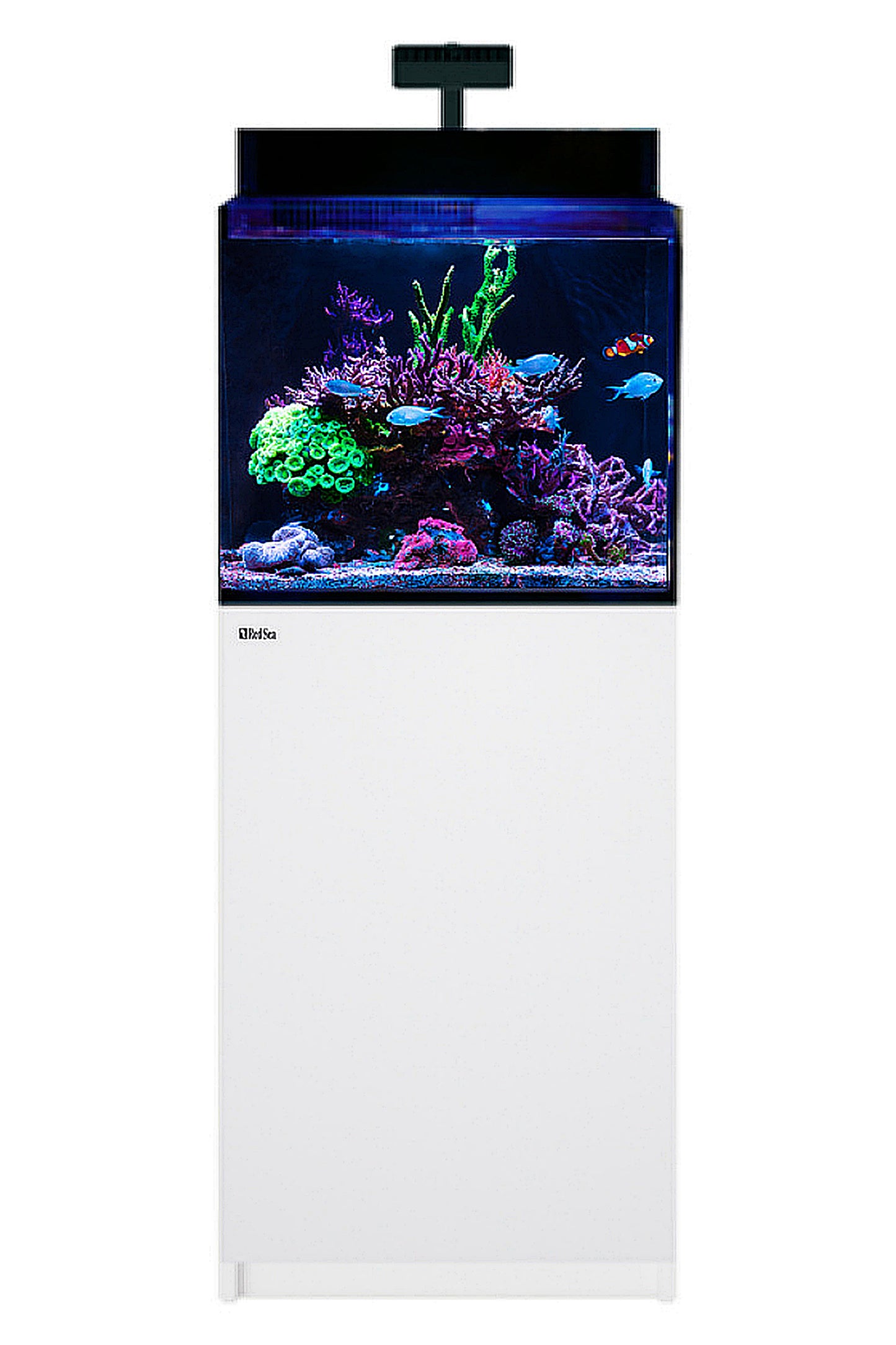 Acuario MAX NANO XL G2 (con ReefLED con mesa blanca) de 127 litros