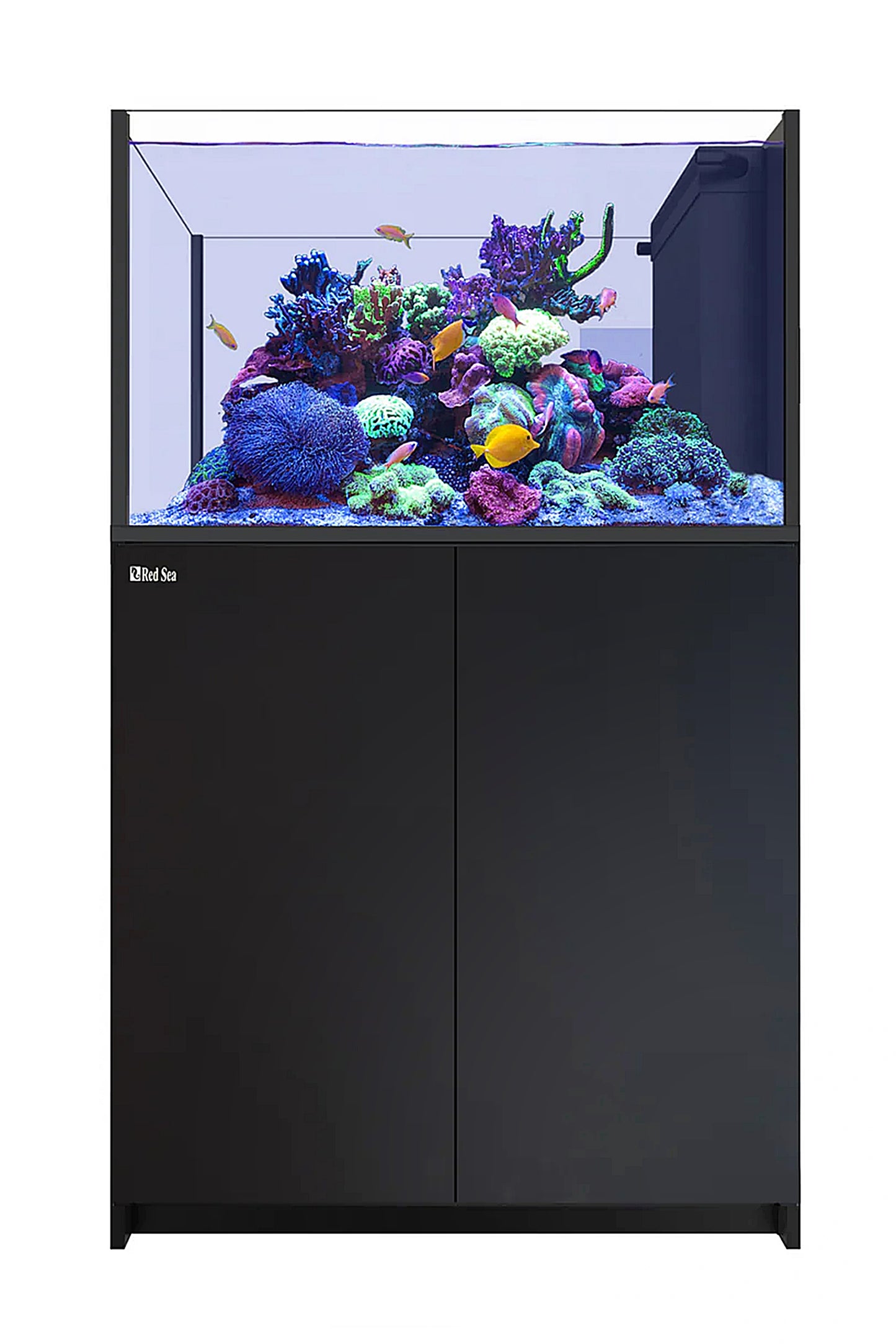 REEFER™ Aquarium Peninsula 350 Schwarz 2 x Reef Led 90 W LED-DECKENSTÜTZE ReefClean300