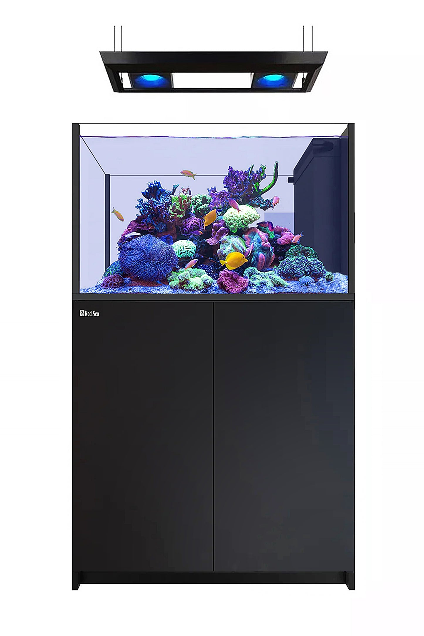 REEFER™ Aquarium Peninsula 350 Schwarz 2 x Reef Led 90 W LED-DECKENSTÜTZE ReefClean300