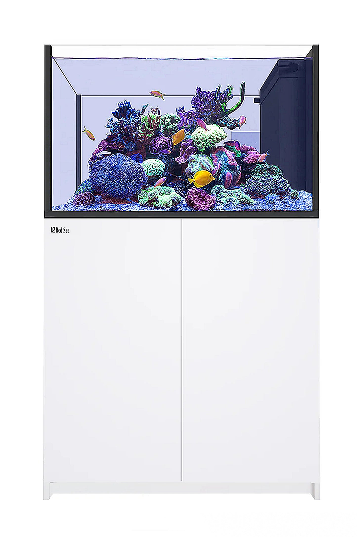 Acuario REEFER™ Península 350 Blanco 2 x Reef Led 90W SOPORTE TECHO LED ReefClean300