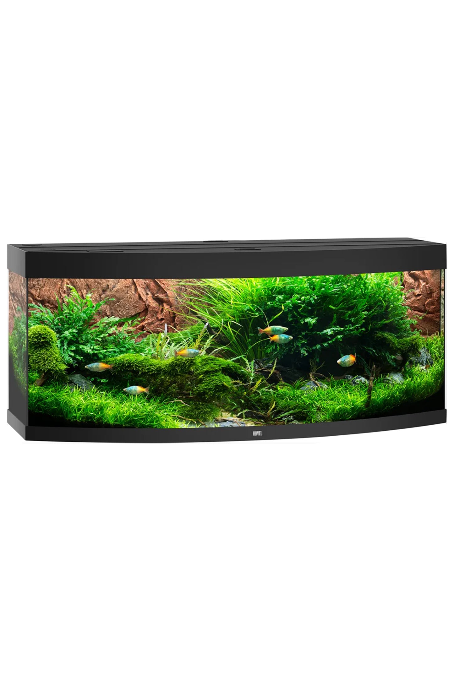 Acuario JUWEL VISION en Negro de 450 litros