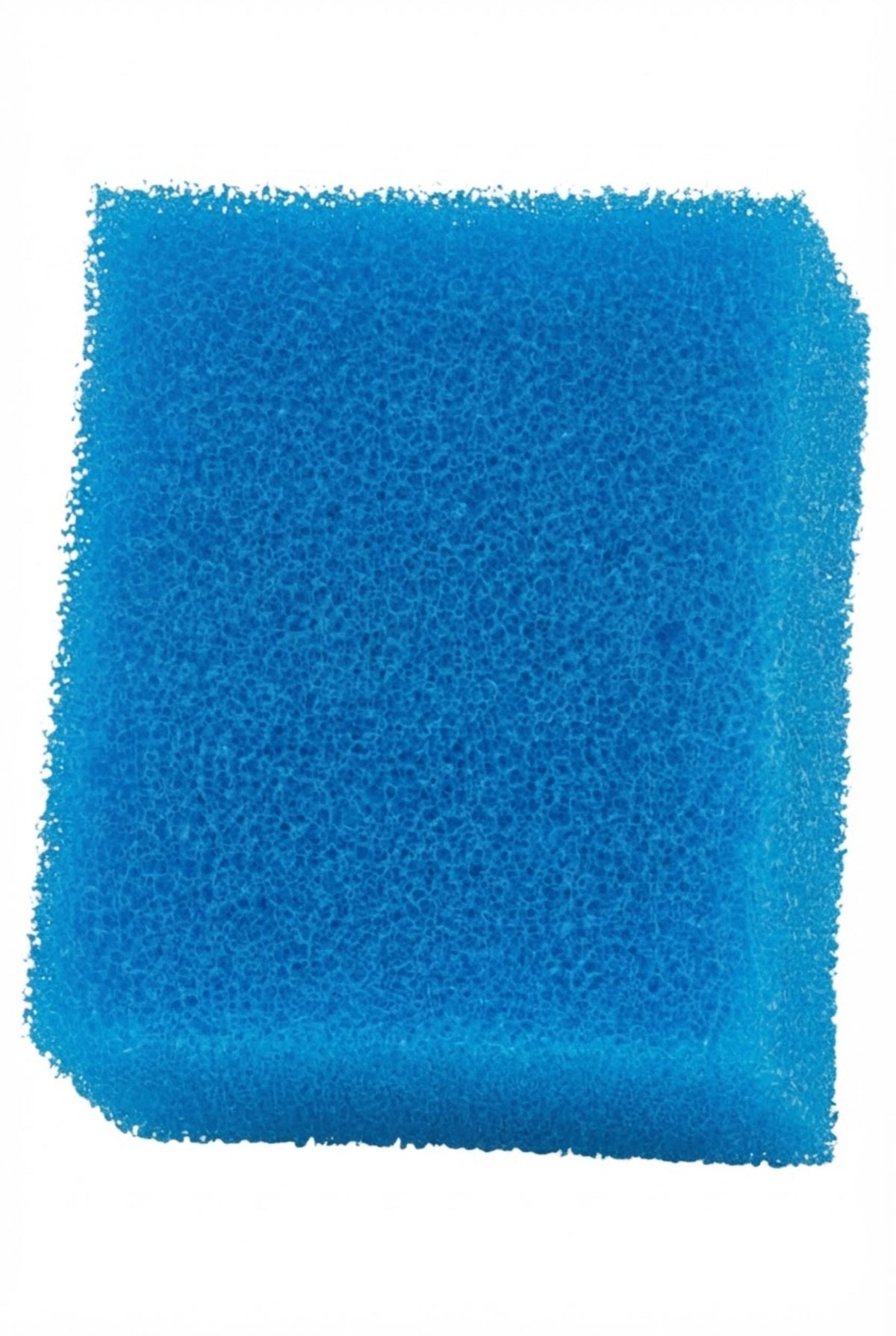 Material filtrante para filtro Fluval AC20 Bio-Esponja Azul 1 ud.