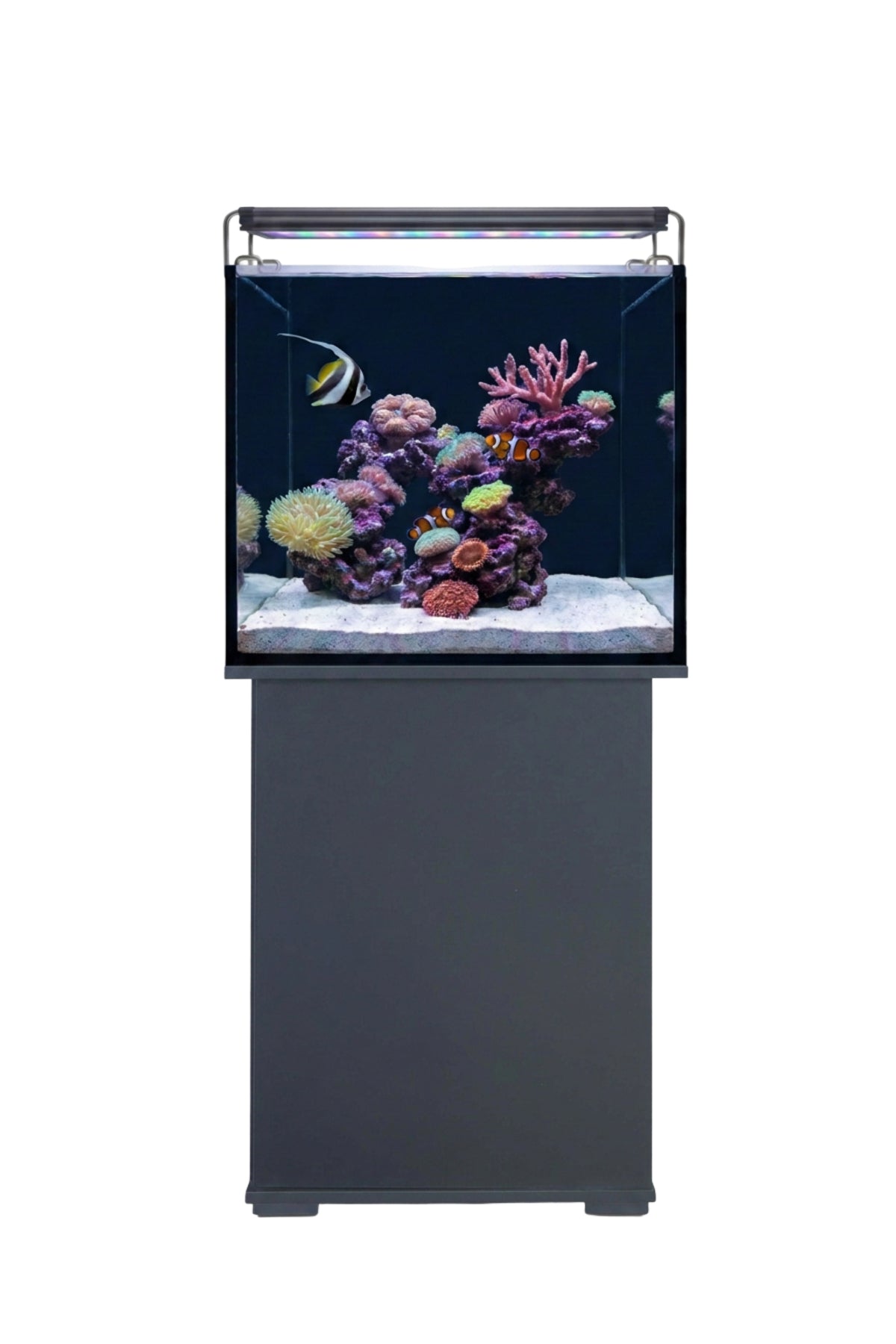 AquaOcean de 164 litros con mueble gris