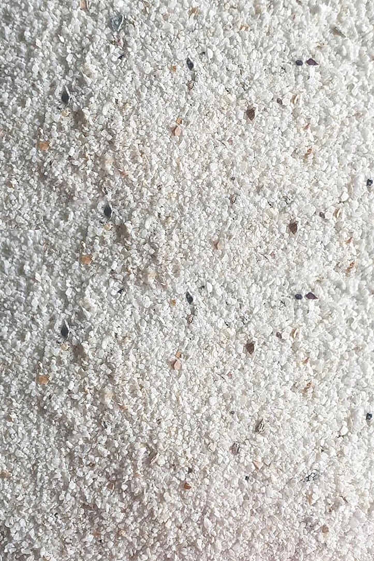 AquaForest - BIO SAND 10 kg. (0.5-1.5mm) - ¡NUEVO ENVASE!