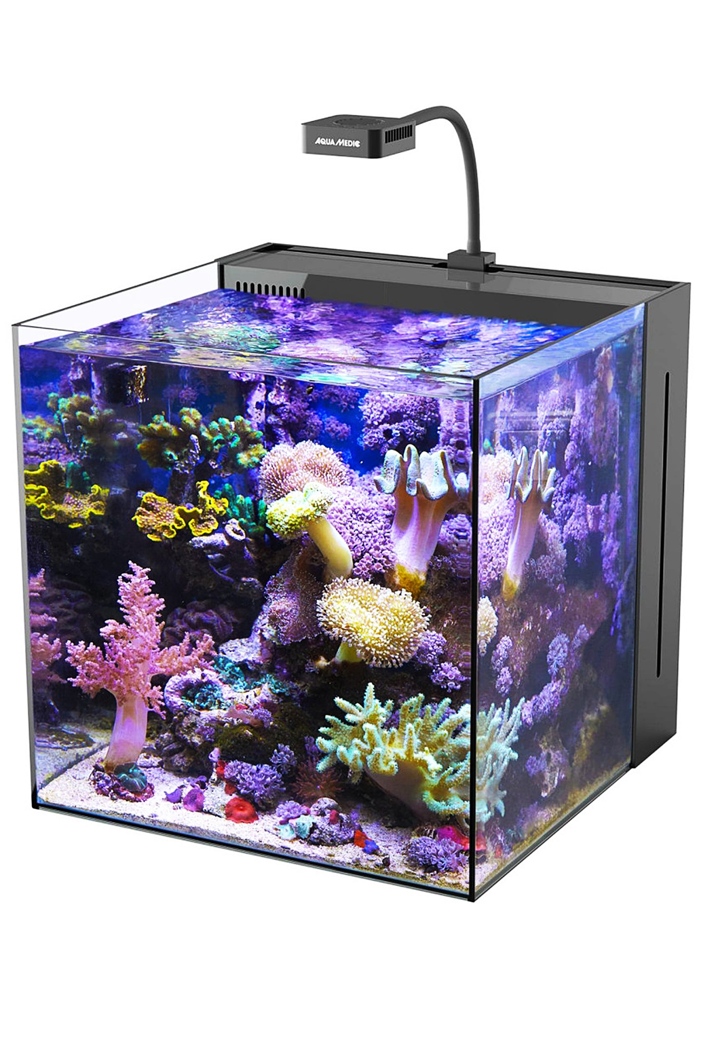 AquaMedic - Aquário Yasha 60 litros