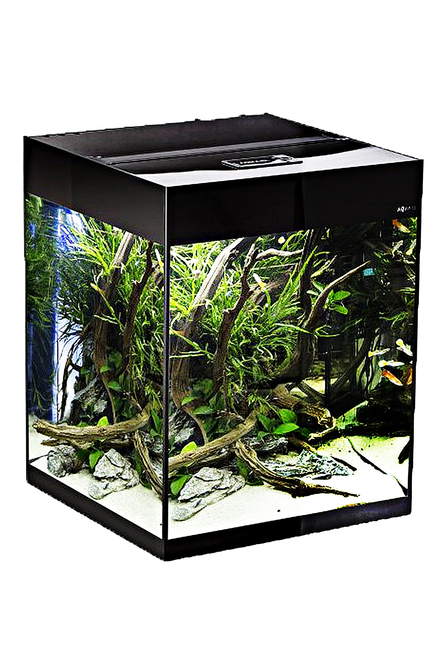 AQUAEL - Glossy Cube 50 D&amp;N Black 135 Liter