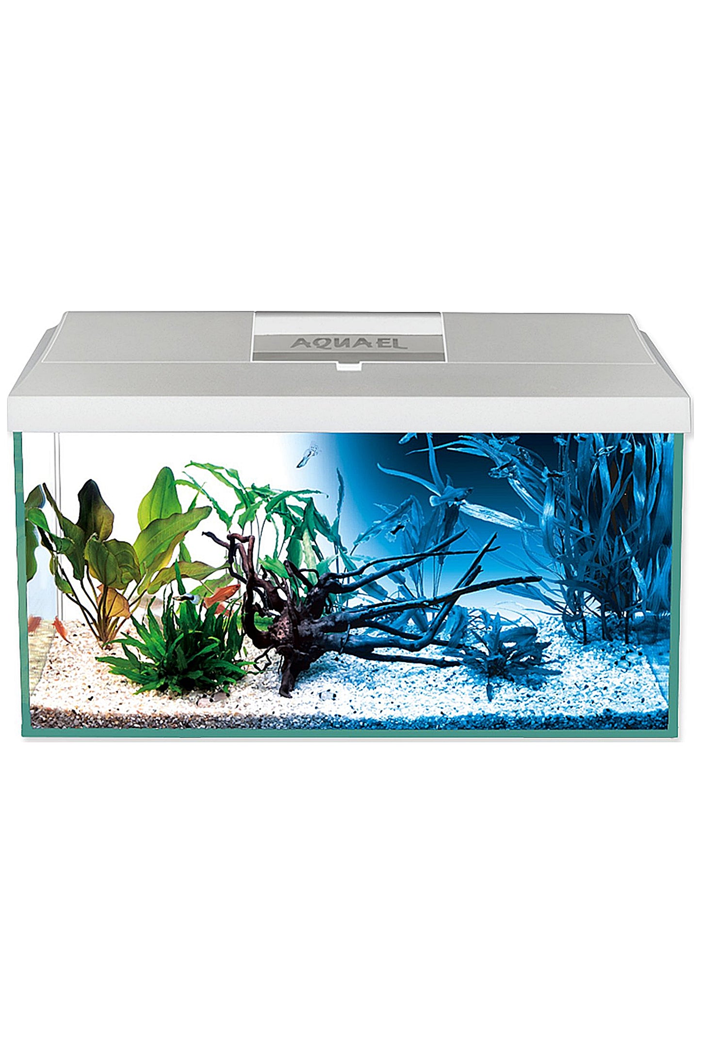 Acuario Kit LEDDY D&N 60 Blanco de 54 litros