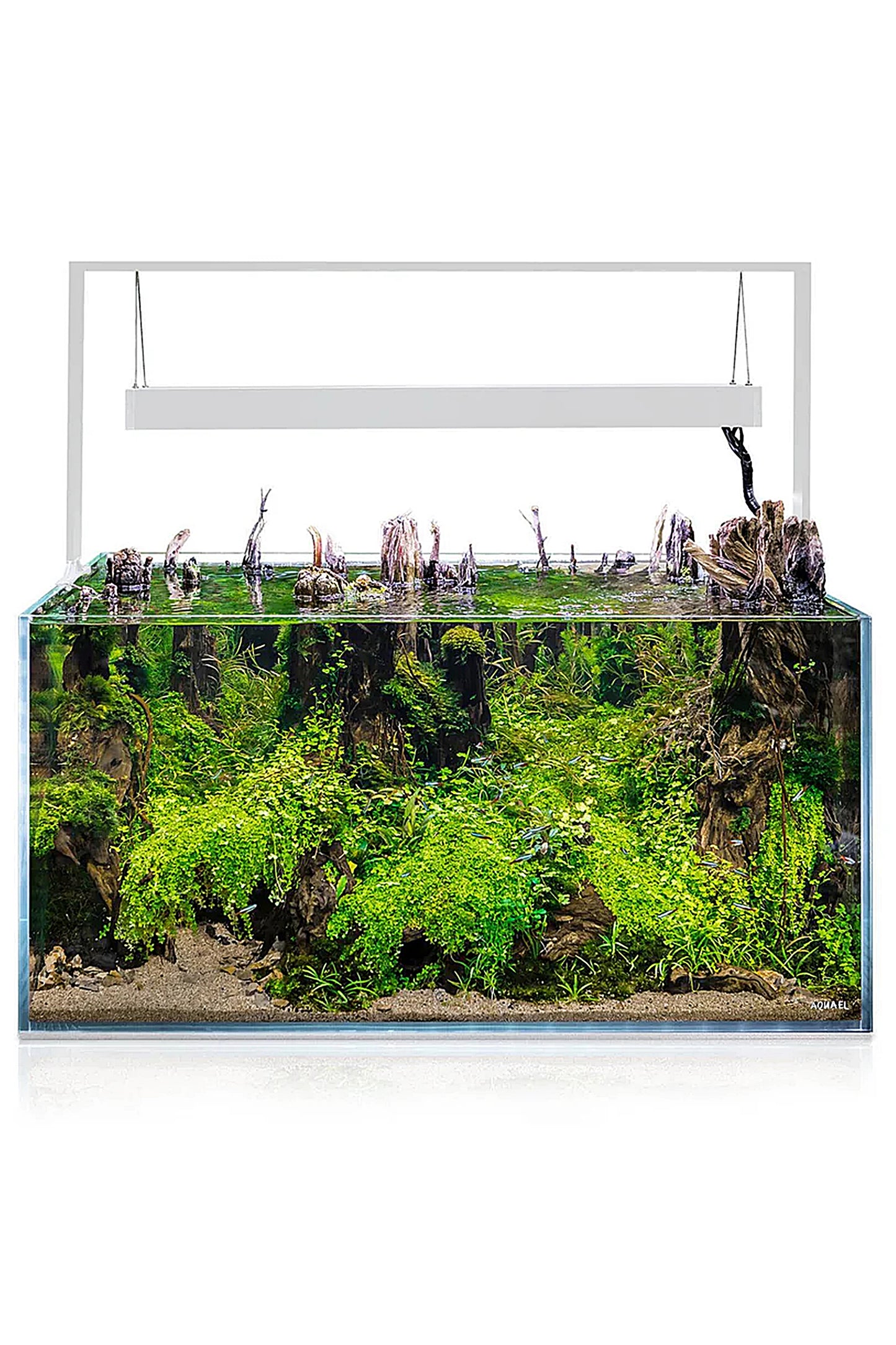 AQUAEL - Ultrascape 90 Snow Set Aquarium mit 243 Litern