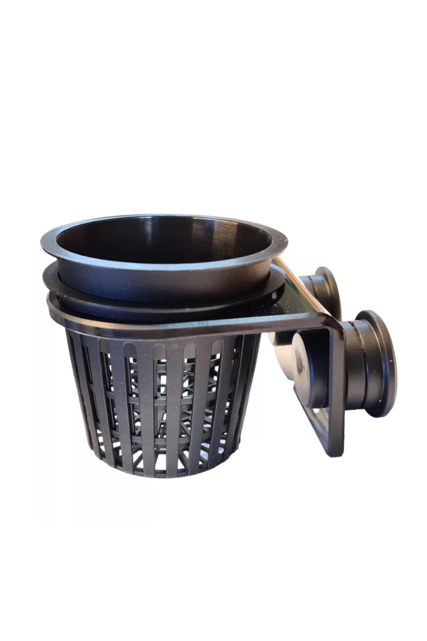 Fauna Marin - Anemone CUP