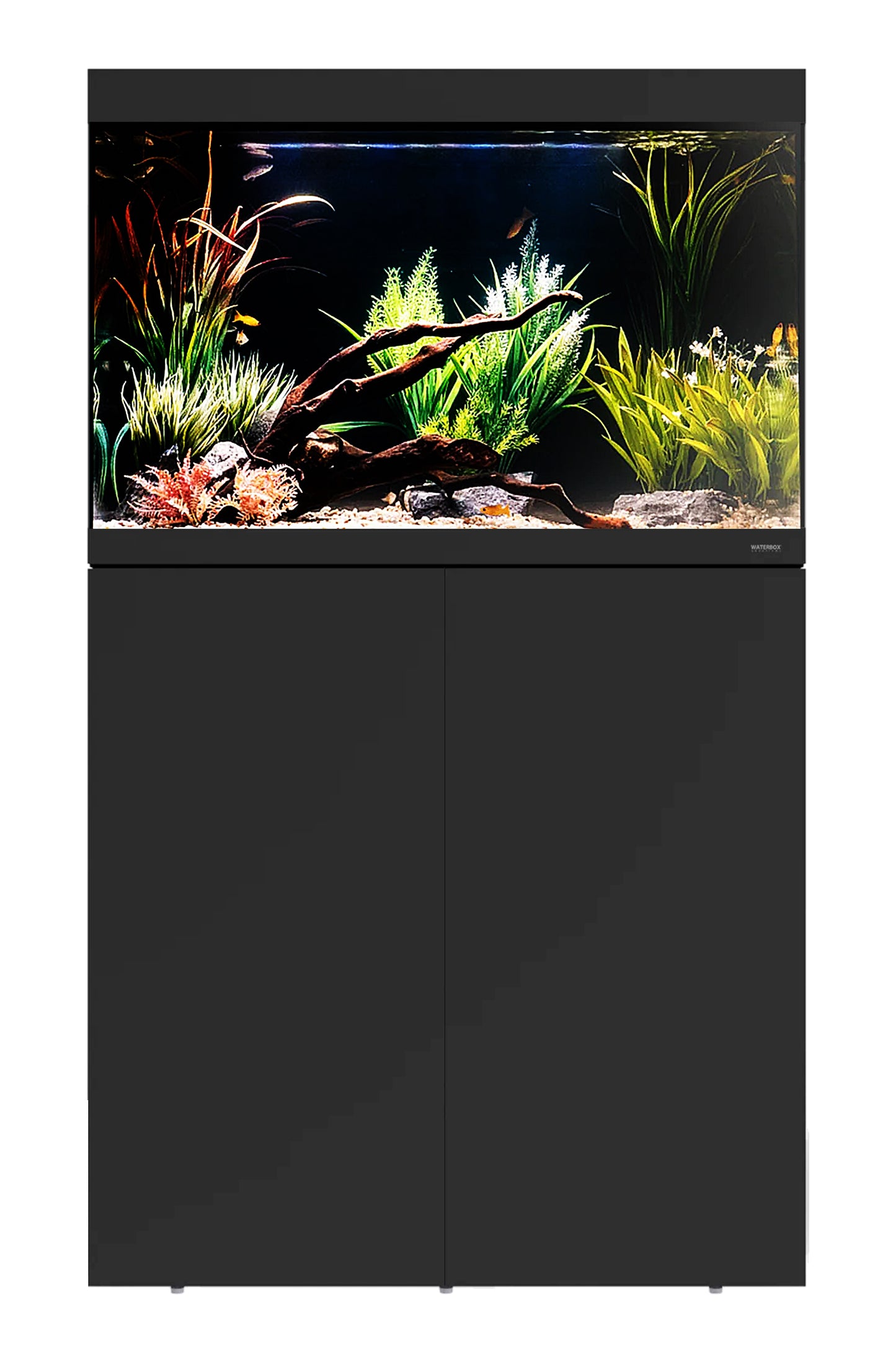 WATERBOX - Acuario EDEN 40 con mesa Negro de 150 litros