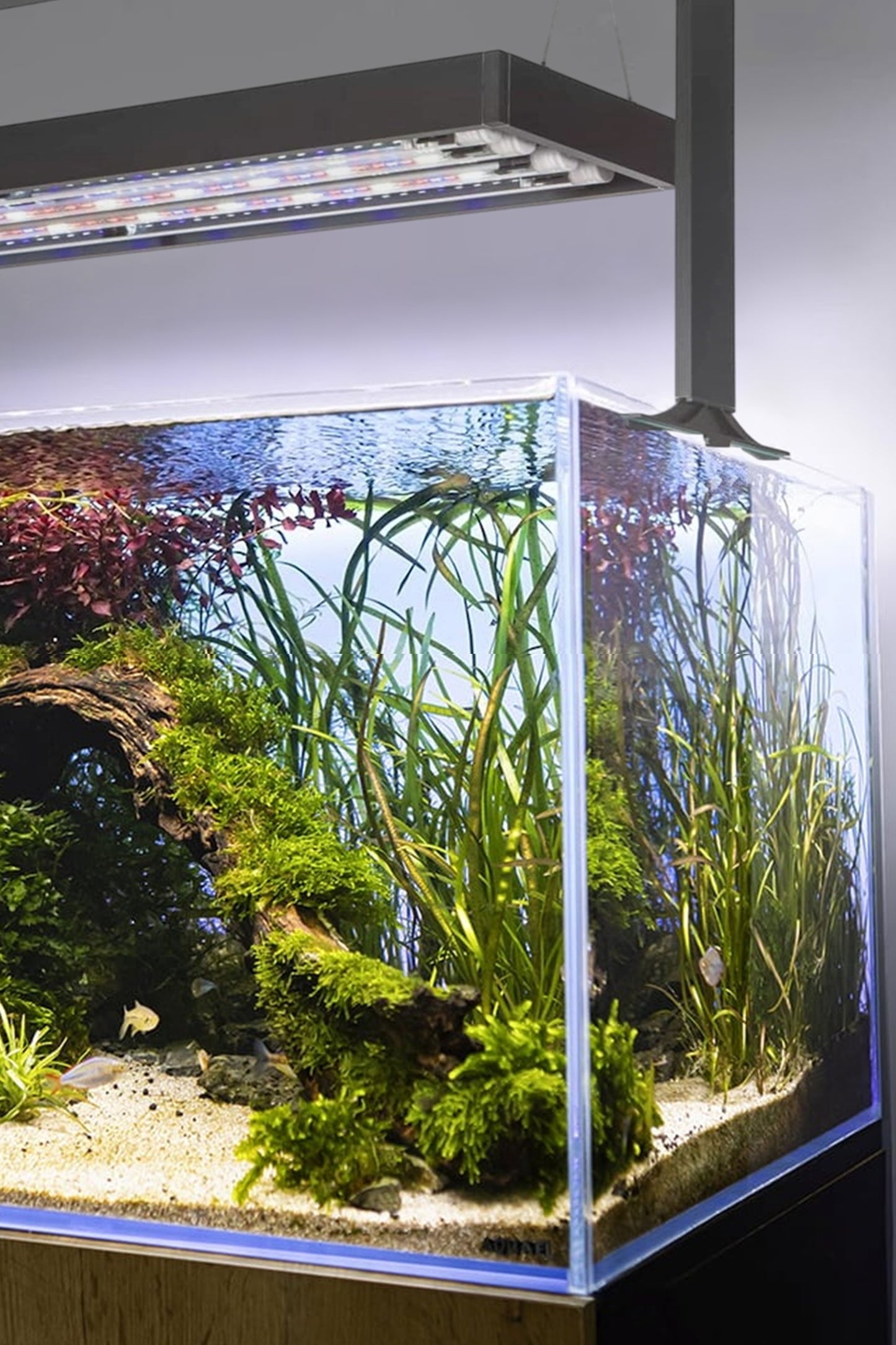 AQUAEL - Acuario Ultrascape 90 Forest Set de 243 litros