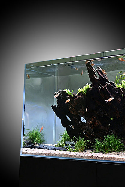 Opti Tank 100 de 200 litros - Urna de cristal óptico con mueble Blanco