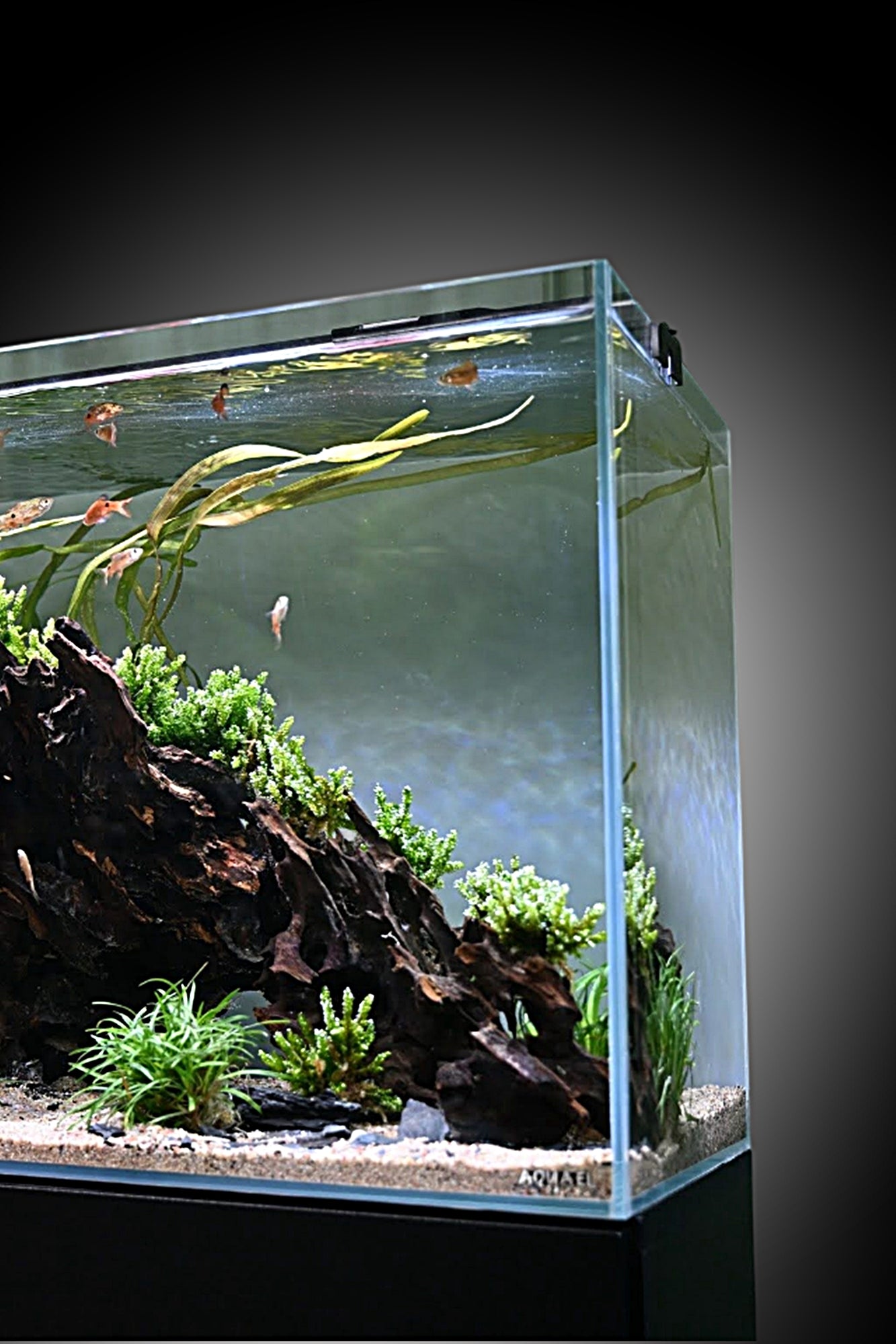 Opti Tank 100 de 200 litros con Stand Premium - Blanco