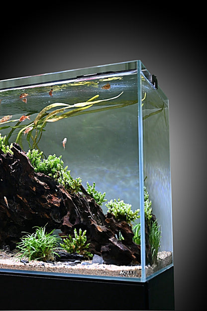 Opti Tank 100 de 200 litros - Urna de cristal óptico con mueble Blanco