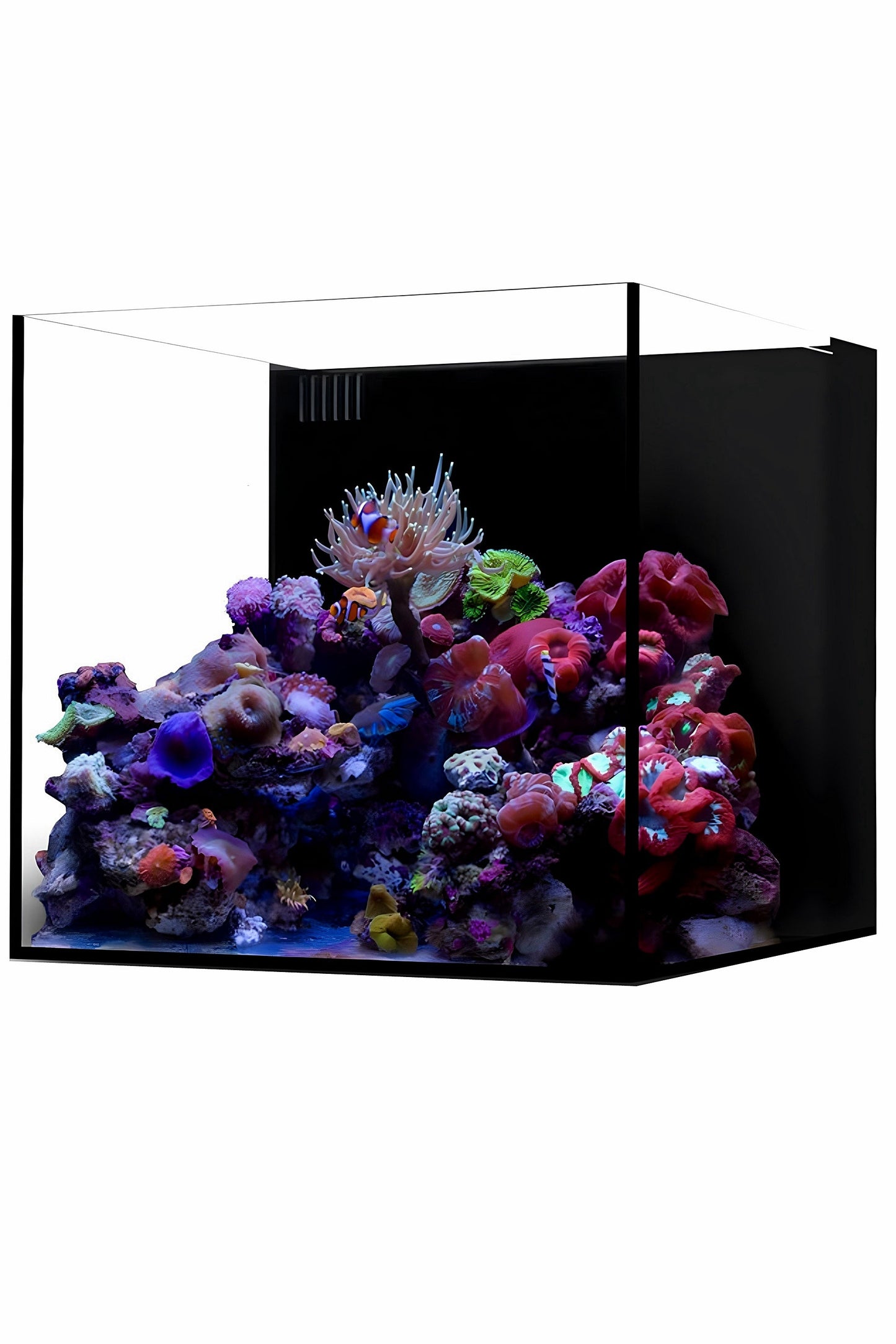 WATERBOX - Nuevo Acuario AIO 20 CUBE con mueble Blanco de 76 litros