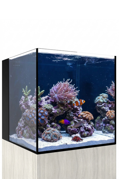 WATERBOX - Nuevo Acuario AIO 20 CUBE con mueble Aspen de 76 litros