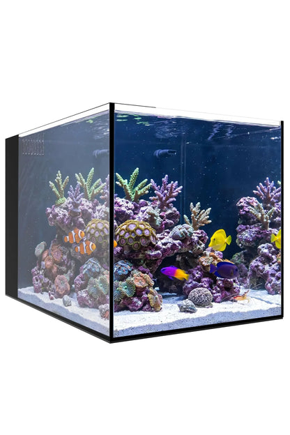 WATERBOX - Nuevo Acuario AIO 25 PENINSULA con mueble Negro de 90 litros