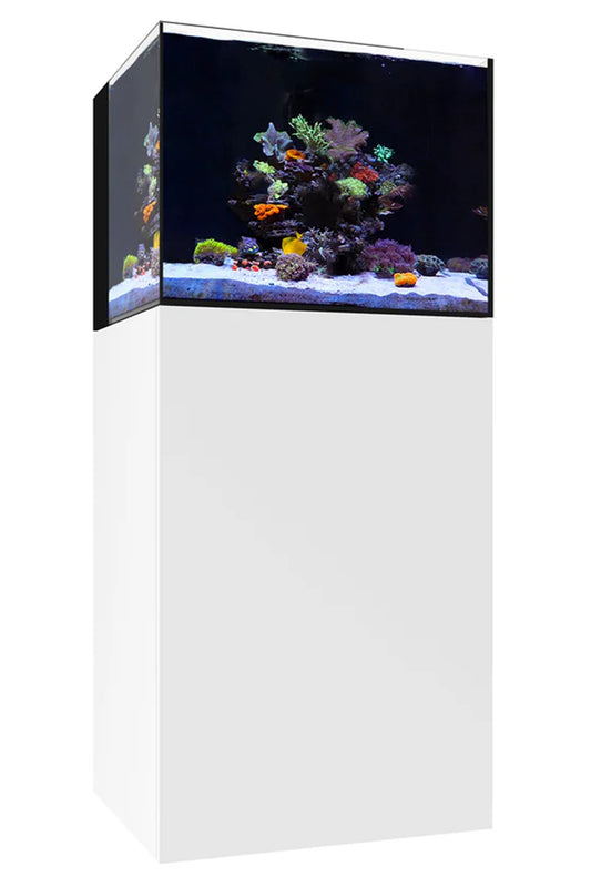 WATERBOX - Nuevo Acuario AIO 35.2 con mueble Blanco de 125 litros