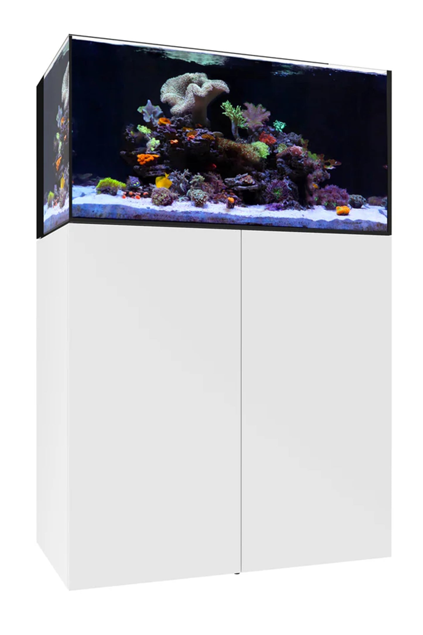 WATERBOX - Nuevo Acuario AIO 50.3 con mueble Blanco de 186 litros