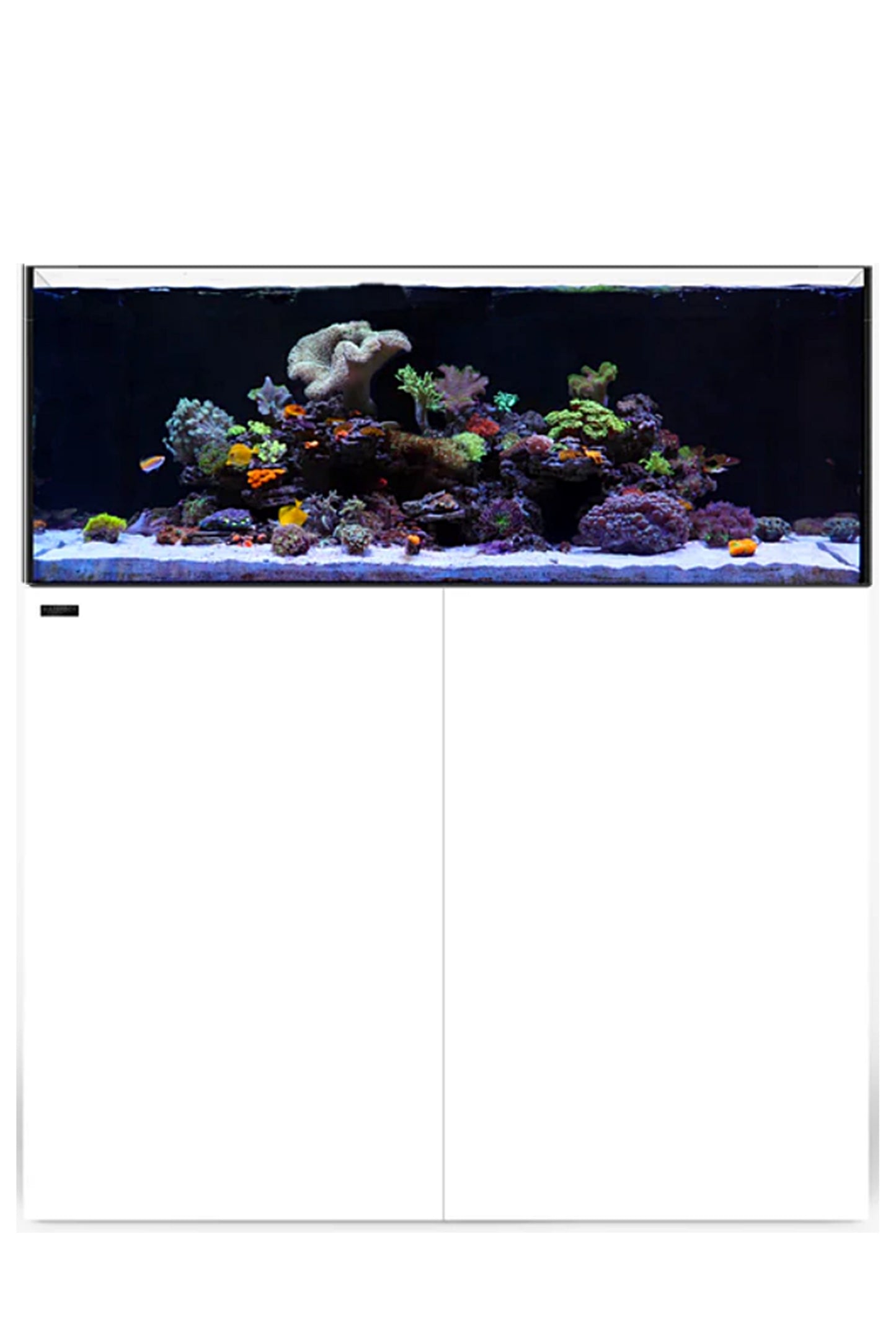 WATERBOX - Nuevo Acuario AIO 65.4 con mueble Blanco de 249 litros