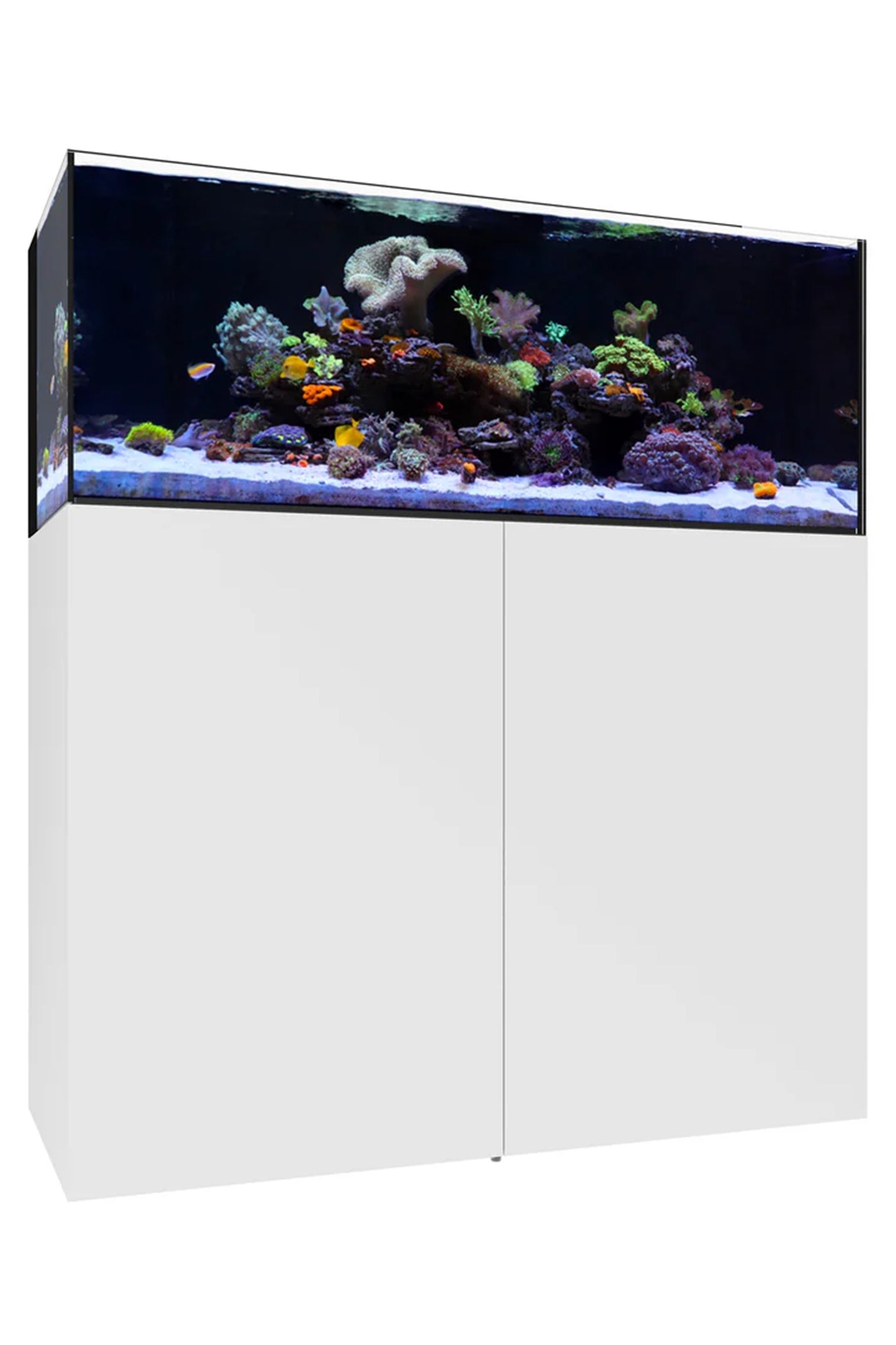 WATERBOX - Nuevo Acuario AIO 65.4 con mueble Blanco de 249 litros
