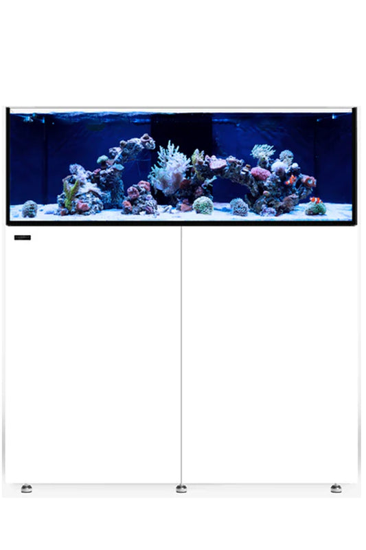 WATERBOX - Nuevo Acuario INFINIA FRAG 125.4 con mueble Blanco de 295 litros