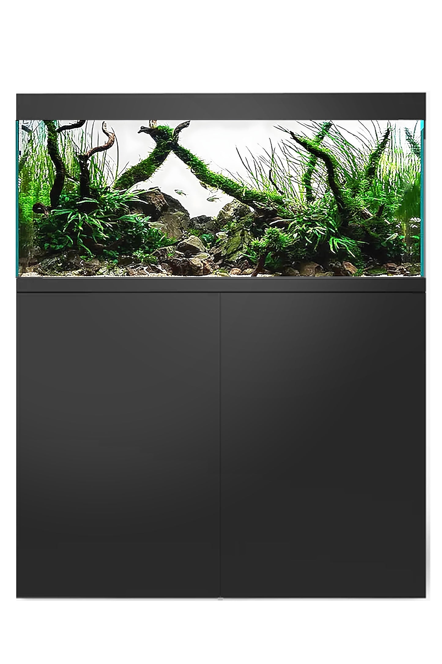 WATERBOX - Nuevo Acuario EDEN-X 80 PENINSULA en Negro de 302 litros