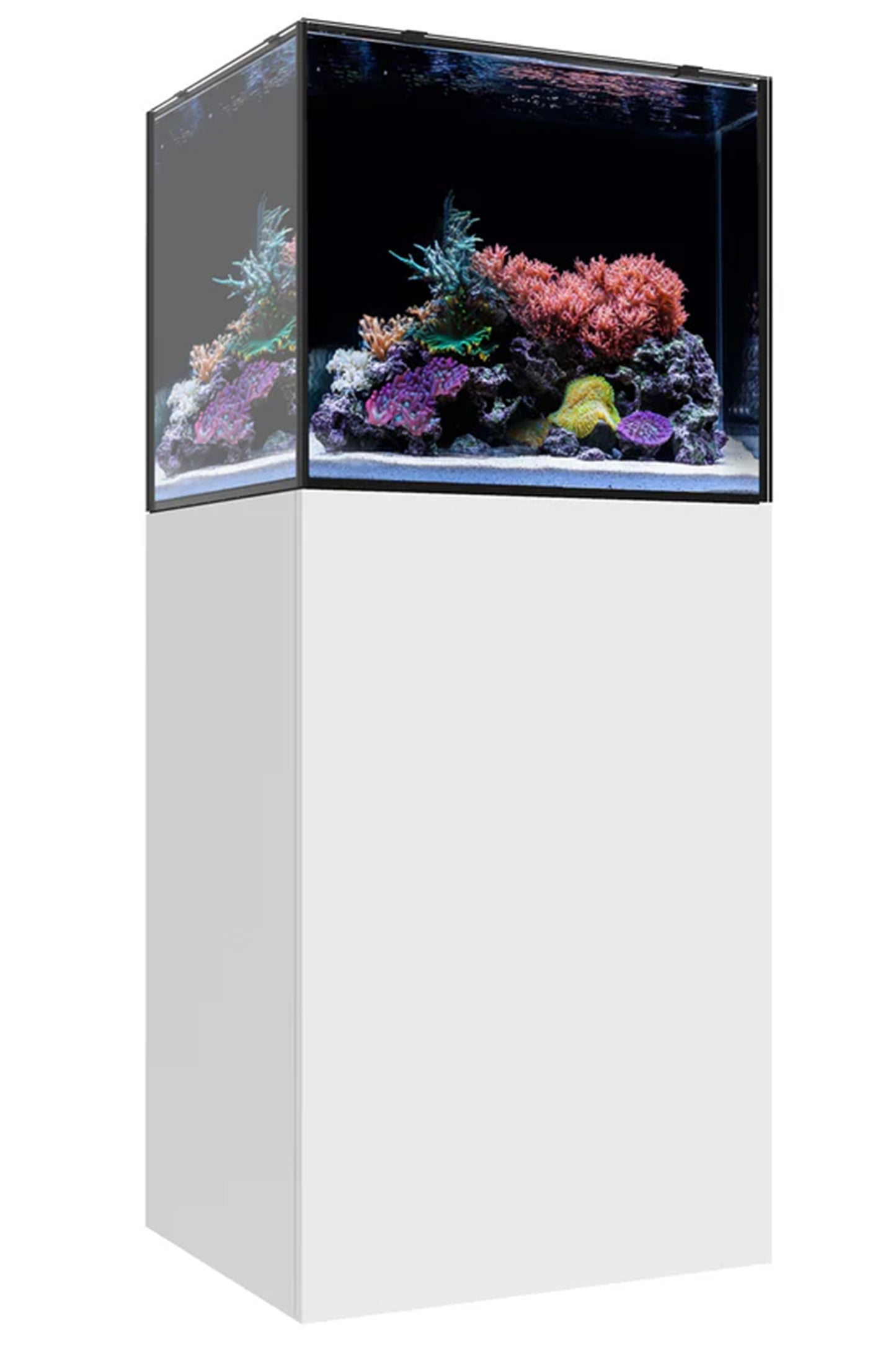WATERBOX - Nuevo Acuario MARINE EX™ 60.2 con mueble Blanco de 136 litros
