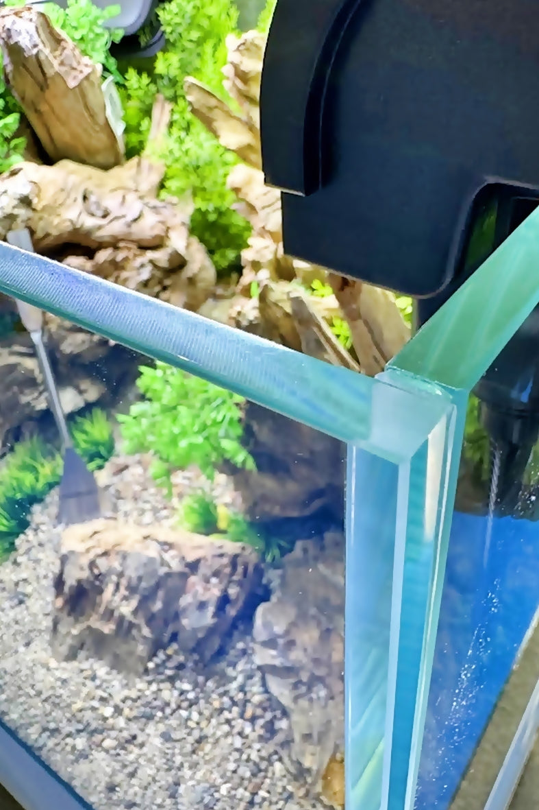 Opti Tank Scape 90 con Stand Forest - Urna de cristal óptico de 243 litros