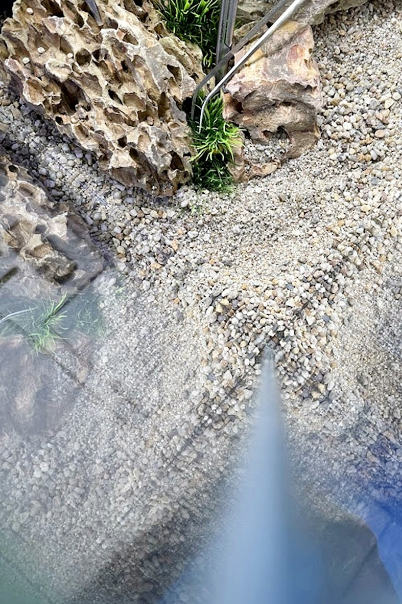 Opti Tank Scape 90 con Stand Forest - Urna de cristal óptico de 243 litros