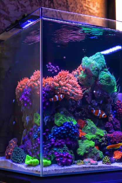 Acuario Marino Aquaforest NANO TANK de 91 litros