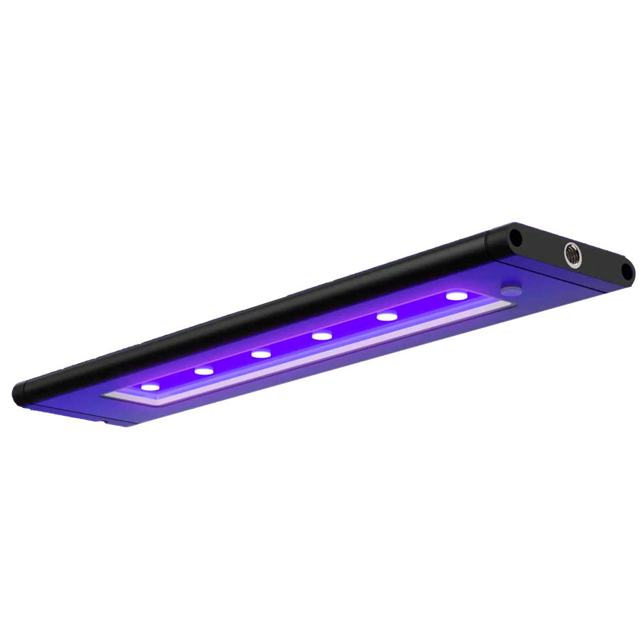 AI - Pantalla LED Blade™ Coral Glow 57" de 1448 mm